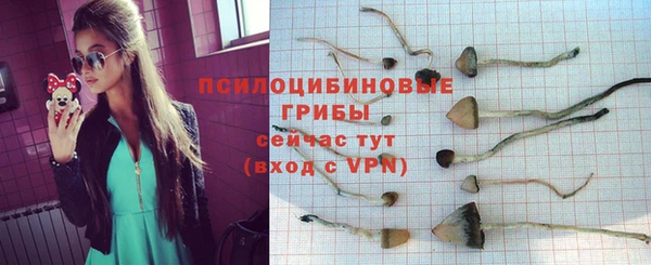 синтетический гашиш Кулебаки