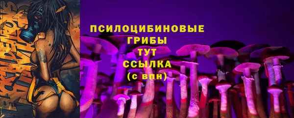 гидра Куйбышев
