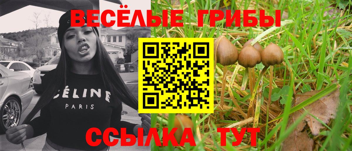 Галлюциногенные грибы GOLDEN TEACHER  Псилоцибиновые грибы прущие грибы  Вход с VPN  Людиново 