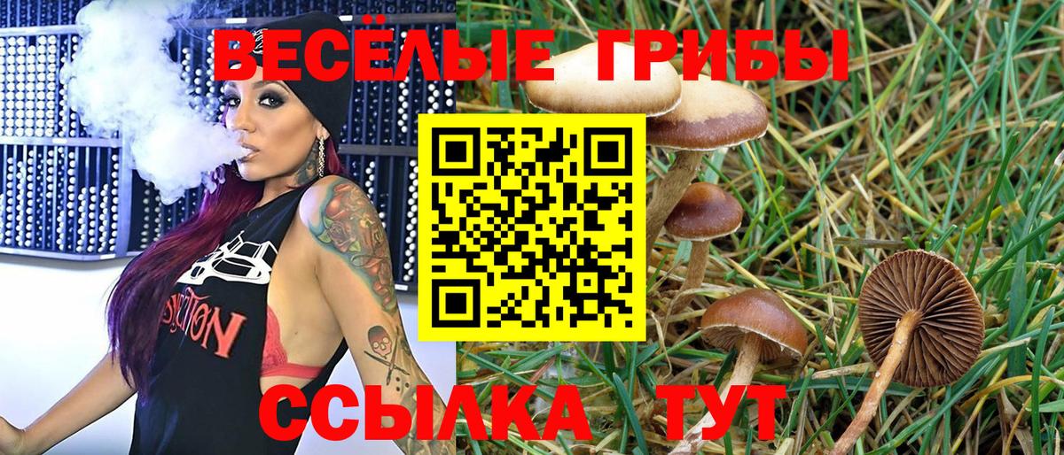Галлюциногенные грибы мицелий Людиново